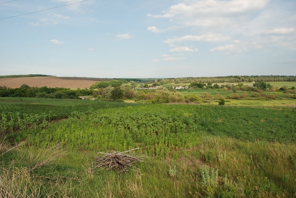 Село табаевка харьковская область. Село пыльная Харьковская область. Табаевка. Табаевка Харьковская область. Оксана Некоз Харьковская область село пыльная.