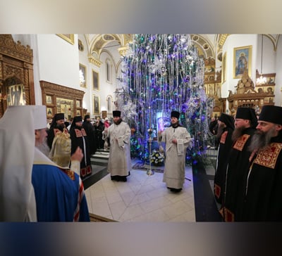 Рождественские богослужения в Святогорской Лавре
