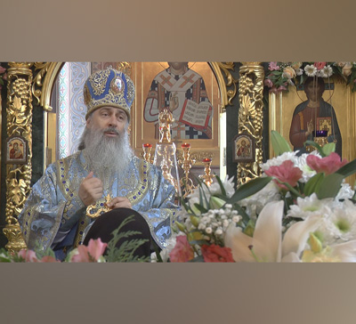 Проповедь митрополита Арсения в день празднования иконы «Всех скорбящих Радость» (видео)