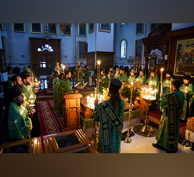 Делегация Александрийской епархии посетила Святогорскую Лавру (фото, видео)