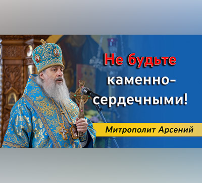 «На молебнах не стоят, на молебнах плачут, на молебнах вымаливают»: митрополит Арсений о каменносердечии и холодности души (видео)