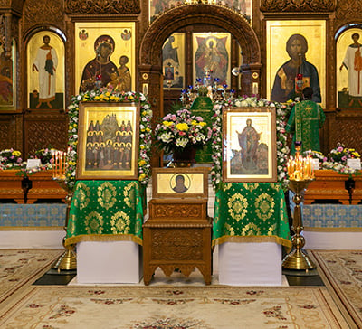 Память покровителей Святых Гор (фото, видео)